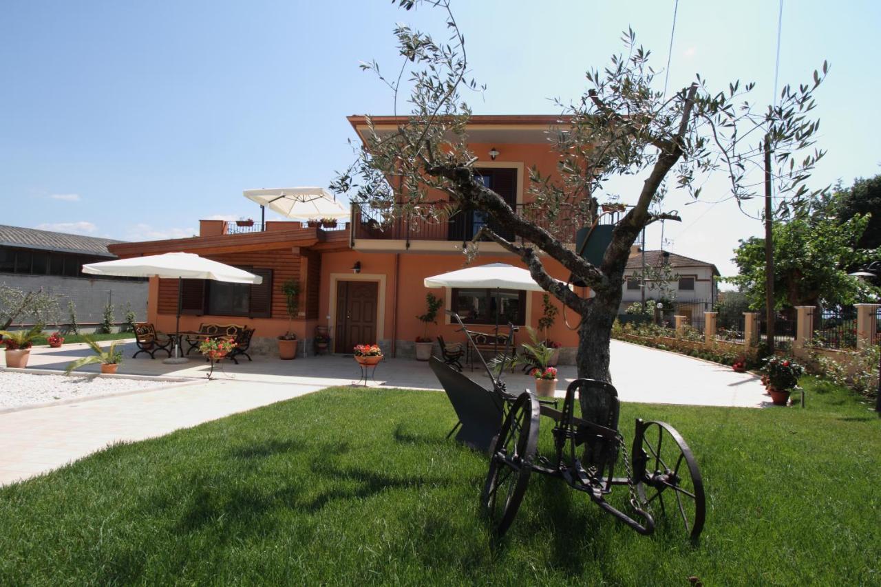 Azienda Agrituristica La Tenuta Del Falco Piedimonte San Germano Exterior foto