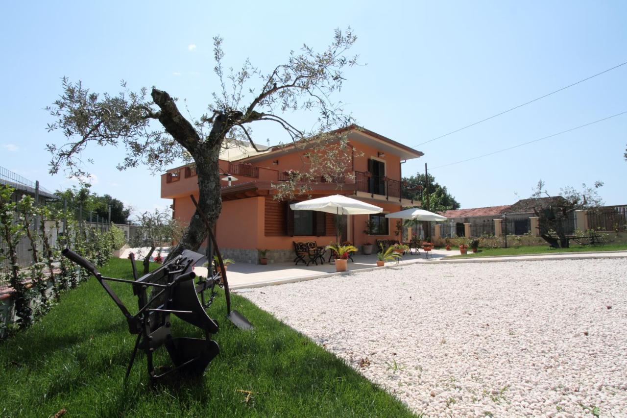 Azienda Agrituristica La Tenuta Del Falco Piedimonte San Germano Exterior foto